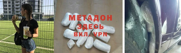 прущие грибы Балахна