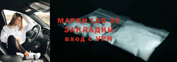 индика Аркадак