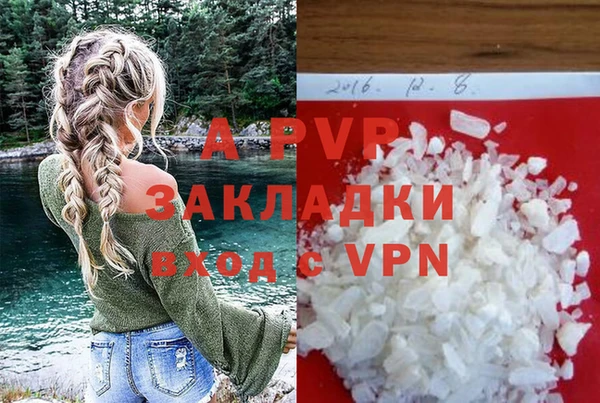 индика Аркадак
