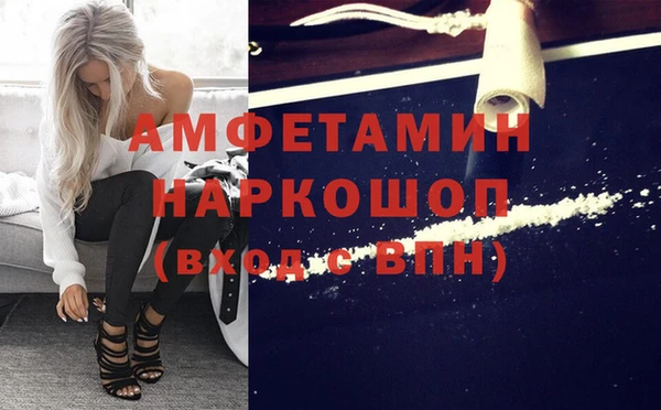индика Аркадак