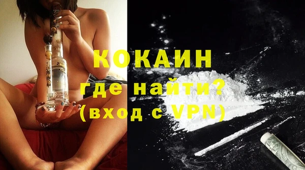 индика Аркадак