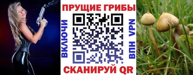 Галлюциногенные грибы MAGIC MUSHROOMS где можно купить Яровое